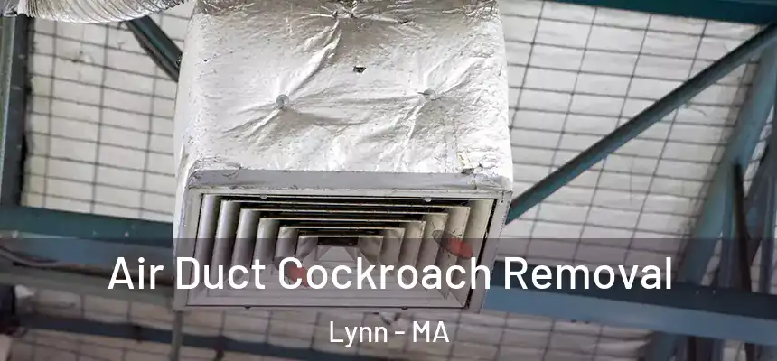 Air Duct Cockroach Removal Lynn - MA