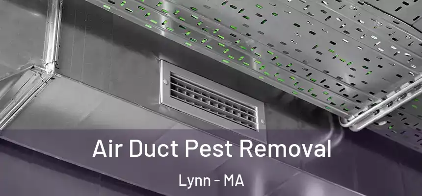 Air Duct Pest Removal Lynn - MA