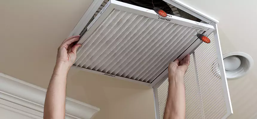 Preventive Cockroach-Proofing for Ducts in Lynn