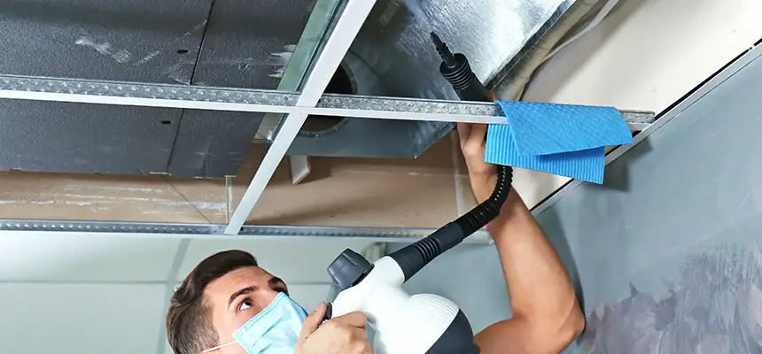Our Air Duct Rodent Removal Services in Lynn, MA