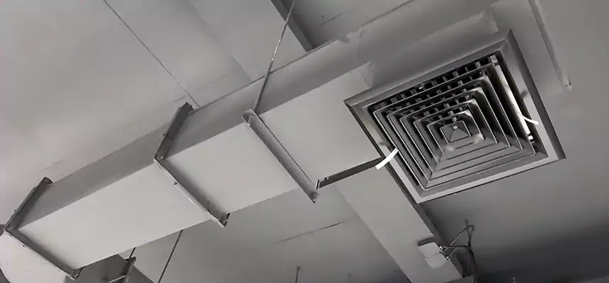 Our Pest Removal From Ducts Services in Lynn, MA