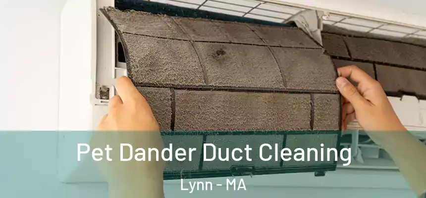 Pet Dander Duct Cleaning Lynn - MA