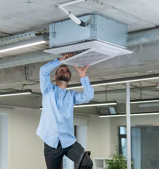 Advanced Rodent Droppings In Vents in Lynn, MA