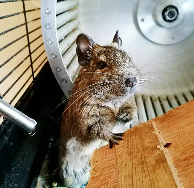 Why Homeowners & Businesses Trust Us Lynn, MA