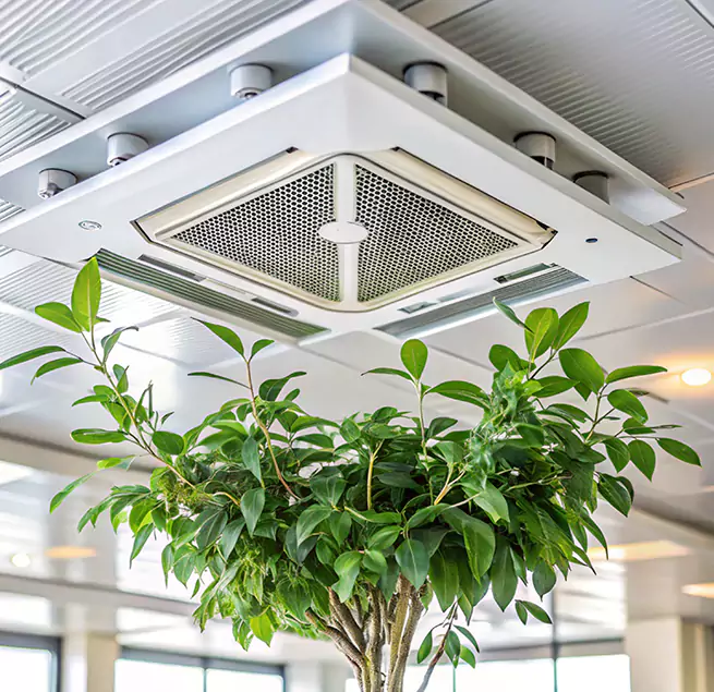 Why Homeowners & Businesses Trust Us in Lynn, MA?